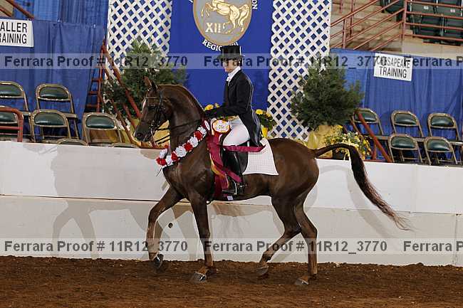Proof 11r12_3770