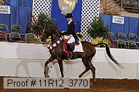 11r12_3770 proof