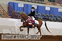 11r12_3772 proof
