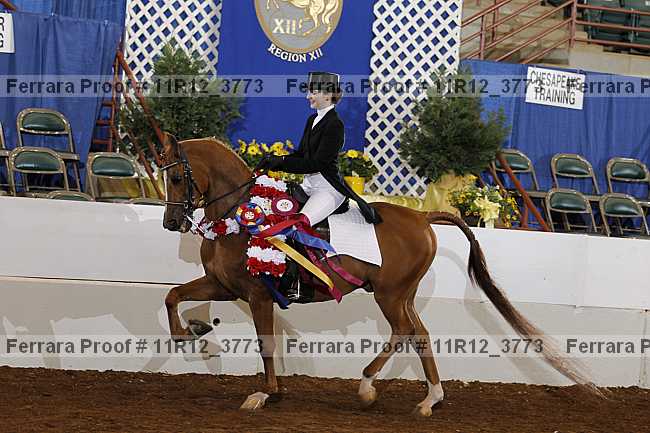 Proof 11r12_3773