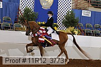 11r12_3773 proof
