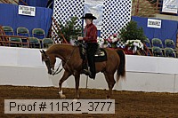 11r12_3777 proof