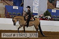 11r12_3778 proof