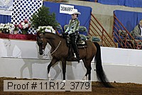 11r12_3779 proof