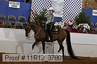 11r12_3780 proof