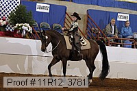 11r12_3781 proof