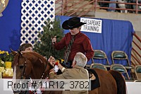 11r12_3782 proof