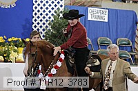 11r12_3783 proof