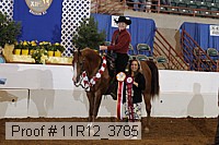 11r12_3785 proof