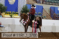 11r12_3788 proof