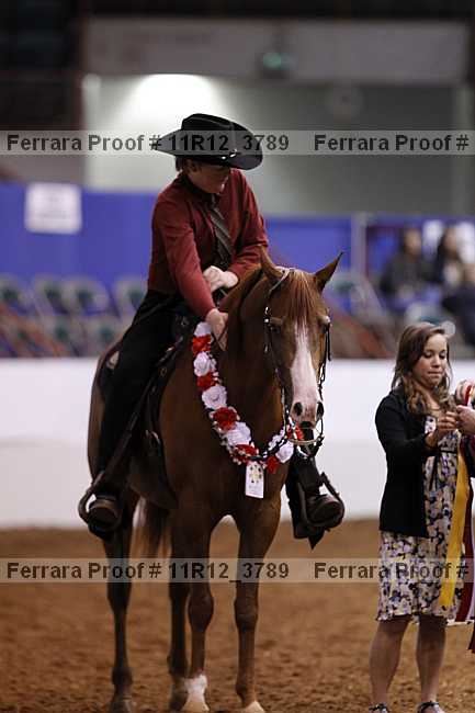 Proof 11r12_3789