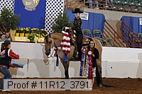 11r12_3791 proof