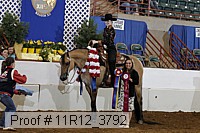 11r12_3792 proof