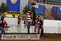 11r12_3793 proof