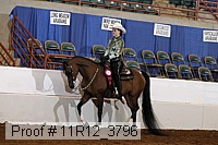 11r12_3796 proof