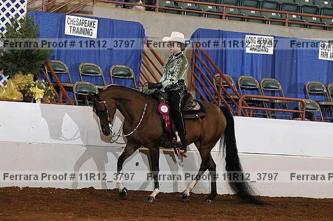 Proof 11r12_3797