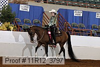 11r12_3797 proof
