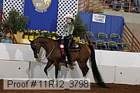 11r12_3798 proof