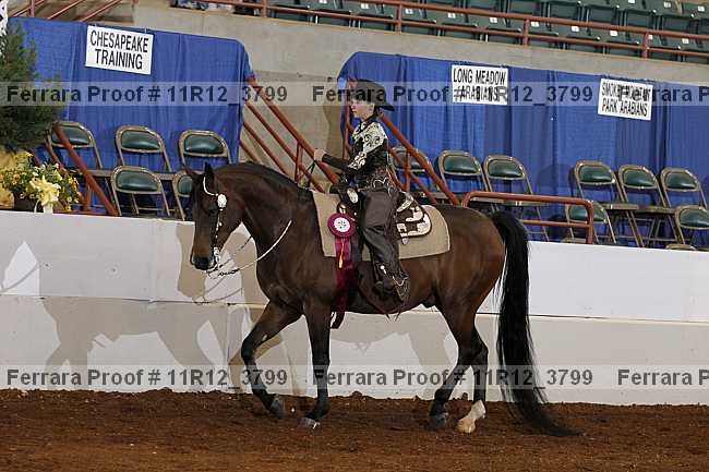 Proof 11r12_3799