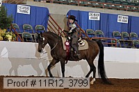 11r12_3799 proof