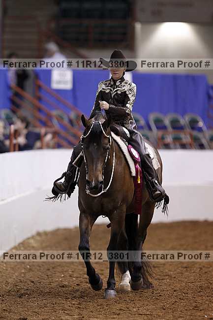 Proof 11r12_3801