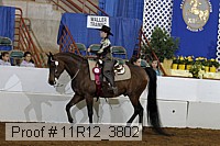 11r12_3802 proof