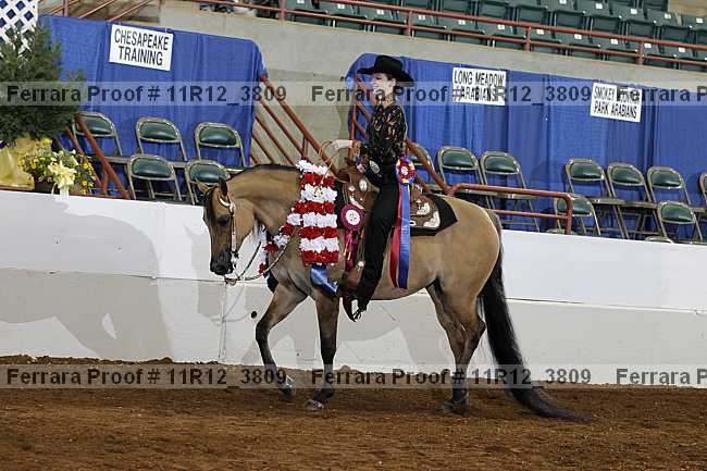 Proof 11r12_3809