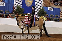 11r12_3812 proof