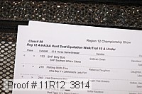 11r12_3814 proof