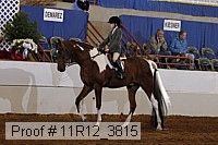 11r12_3815 proof