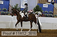 11r12_3816 proof
