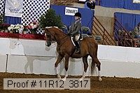 11r12_3817 proof