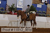 11r12_3818 proof