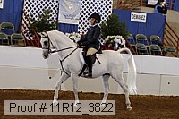 11r12_3822 proof