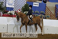 11r12_3823 proof