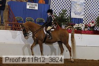 11r12_3824 proof
