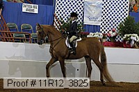 11r12_3825 proof
