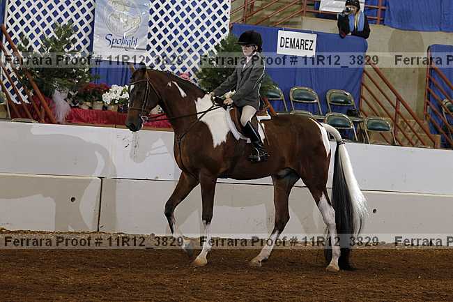 Proof 11r12_3829