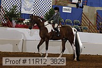 11r12_3829 proof