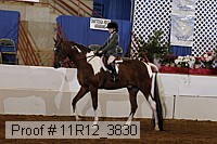 11r12_3830 proof