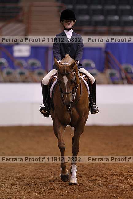 Proof 11r12_3832