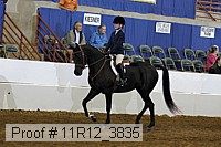 11r12_3835 proof