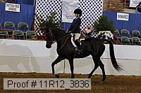 11r12_3836 proof