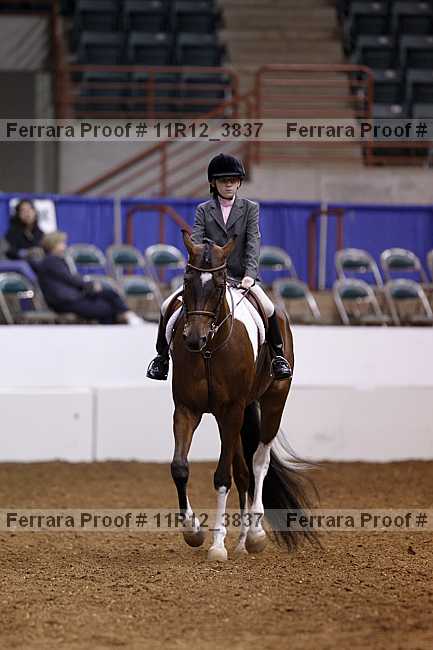 Proof 11r12_3837