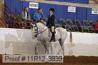 11r12_3839 proof