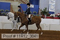 11r12_3841 proof