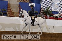 11r12_3842 proof