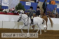 11r12_3843 proof