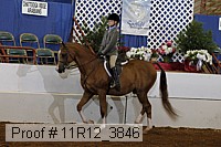 11r12_3846 proof