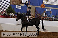 11r12_3853 proof